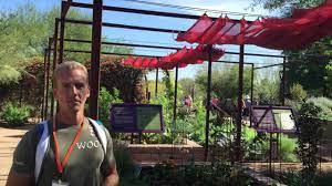 Apr 30, 2020 · create your phoenix arizona flower garden, add color to your garden by planting annuals, perennials and shrubs that grow well in the desert. Most Beautiful Garden In Phoenix Youtube