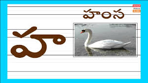 Learn Telugu Alphabets Ka Kalumu Telugu Aksharamala