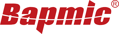 BapmicWeb