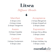 Litsea Diffuser Blends I Love Litsea With It S Sweet Smell Blended With Many Different Essen In 2020 Diffuser Blends Essential Oil Blends Essential Oil Diffuser Blends