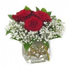 More varieties for baby's breath baby's breath creeping baby's breath plant baby's breath with garden plans for baby's breath. In Love Bouquet 3 Red Roses With Baby S Breath In A Cube Or Round Vase In Oxford Oh Oxford Flower Shop