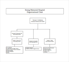 42 Cogent Hospital Organization