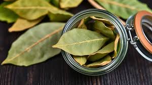 Preserving Bay Leaves for Year-Round Flavor: Techniques and Tips –  BayHarvest: Timeless Herb Wisdom