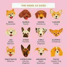 Pin On Zodiac Signs