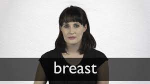 This type of cancer forms in the lining of a milk duct within your breast. Breast Definition And Meaning Collins English Dictionary