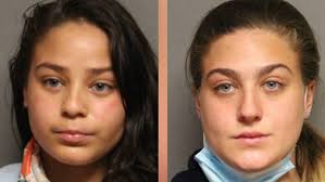 Women who ttore up Trump sign get probation