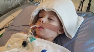 Kelly Stobbe's Instagram, Twitter & Facebook