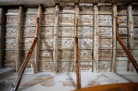 Image result for Vossia