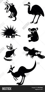 Response to funny australian animal names. Funny Australian Animals Image Stock Photo 17817842