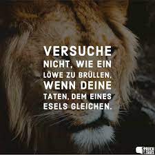 Dabei haben es die partner der. Spruche Zum Thema Lowe Und Lowen Spruch Des Tages