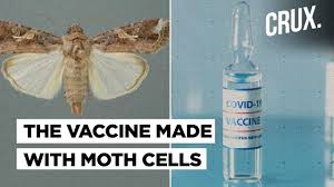 The novavax vaccine also has a substantially lower rate of side effects than the authorized mrna vaccines. How Novavax Used Moths To Create Its Coronavirus Vaccine Youtube