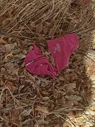 Going out back to smoke and find these panties either cut or ripped off.  They weren't there this morning so something happened during the day. What  the actual?! : r/oddlyterrifying