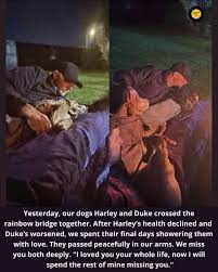 Saying Goodbye to Beloved Pets Harley and Duke