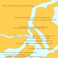 Pickering Passage South End Puget Sound Washington