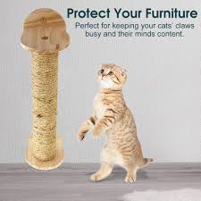 If you want to training cats not to scratch furniture, positive reinforcement can help. Natural Sisal Pet Cats Toy Cat Scratching Board Cat Scratcher Post Home Furniture Protect Game Toys Shopee Singapore