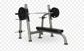 flat bench types of gym workout