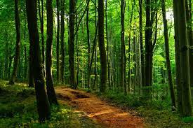 We did not find results for: Belgrad Forest Istanbul Park Inn By Radisson