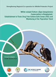 Carcasses and vulture counting was done by opportunistic count. Pdf White Rumped Vulture Gyps Bengalensis Conservation In Bangladesh Establishment Of Toxic Drug Free Vulture Safe Zones Vsz And Monitoring Of The Population Trend Principal Investigator Shimanto Dipu A Sarowar And Sakib