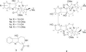 Image result for Tabernaemontana penduliflora