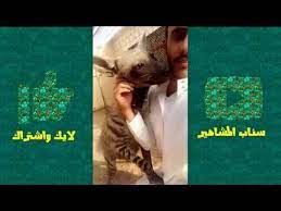اسامة الدغيري يلعب مع الضبع book cover books cover