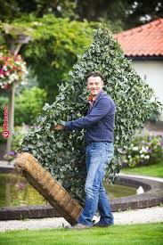 1x Mobilane Fertighecke Efeuhecke Efeusichtschutz Sichtschutz Ebay Garten Pinterest Garden Garden Screening And Garden Fencing Hedges Backyard Fence Decor Garden Screening