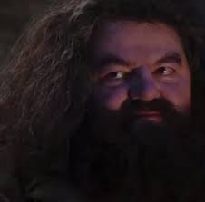 You Are A Wizard Harry Bee