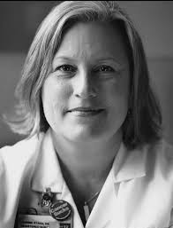 ANF 2013 Annual Report