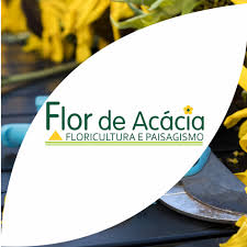 Cantinho 3 Floricultura E Paisagismo Goiânia Go Mais Acai T9 Home Facebook