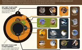 Educators Guide To Nest Boxes K 12 Education K 12 Education