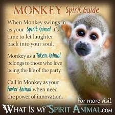 Monkey Symbolism Meaning Spirit Totem Power Animal