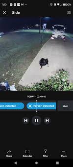 If these are your dog's keep them in your yard