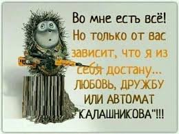 проект по русскому языку и в шутку и всерьез 14 Pinov Na Kotorye Stoit Vzglyanut Milalulia Ukr Net Citaty Pozitivnye Citaty Yumoristicheskie Citaty