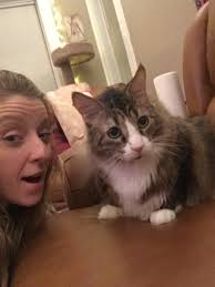 Leah Muller — Chicagoland Animal Rescue NFP