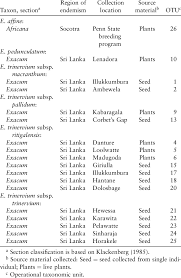 Image result for Exochaenium oliganthum