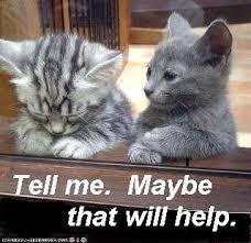 We did not find results for: Pin On Kittens
