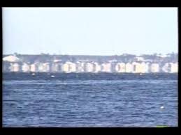 거침없고 솔직한 입담으로 데뷔 15년 만에 전성기를 맞은 개그우먼 신기루가 지상파 라디오 생방송 중 비속어와 욕설을 써 논란에 휩싸였다. ê²¨ìš¸ ì‹ ê¸°ë£¨ í˜„ìƒ