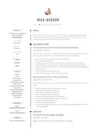 This is an actual cv example of a domestic cleaner who works in the domestic cleaner industry. Cleaner Resume Writing Guide 12 Templates Pdf 20