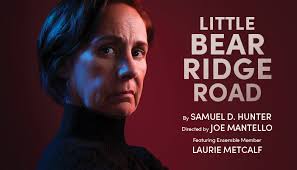 Laurie Metcalf sets the bar in 'Little Bear Ridge Road' through August 4th  at Steppenwolf