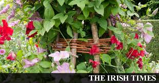 We did not find results for: For Flower Power And Staying Power You Can T Beat These Summer Climbers