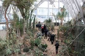 Der archivlink wurde automatisch eingesetzt und noch nicht geprüft. Exkursion In Den Botanischen Garten Graz Verwaltung Land Steiermark