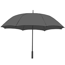The umbrella cockatoo is also called white cockatoo which is mostly found in indonesia. How To Draw An Umbrella Easy Drawing Art