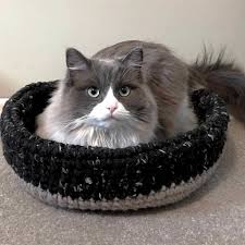 I'm a crafty cat lady with big dreams and an inability to sit still. Crochet Cat Bed Pattern Small Dog Bed Wool Street