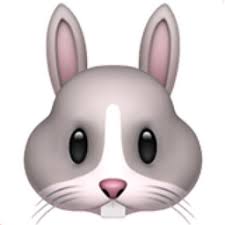 The Rabbit Face Emoji On Iemoji Com Emoji Rabbit Emoji Pictures