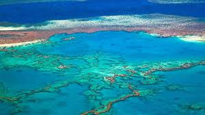 3,805 likes · 91 talking about this. Great Barrier Reef Outlook Very Poor Australia Says Bbc News