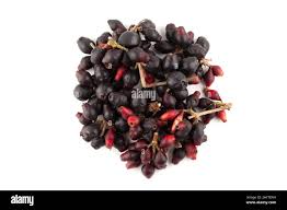 Image result for Syzygium cumini