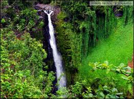 Here we focus on the town itself, the friendly people of hana. Hana Maui Map And Hawaii Information