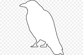Bird Line Drawing Png Download 480 600 Free Transparent Common Raven Png Download Cleanpng Kisspng Line art black and white fairytale crown. bird line drawing png download 480
