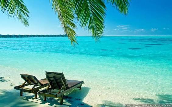 Free photo: Summer scene - Day, Daylight, Environment - Free Download - Jooinn