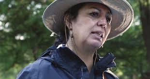 The rights defenders at risk in Mexico (long read)