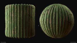 Available in most of files format including 3ds max, maya, cinema 4d, blender, obj, fbx. Cactus Substance Material Youtube